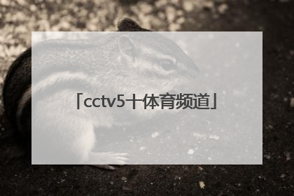 「cctv5十体育频道」CCTV5十体育频道星期曰节目表