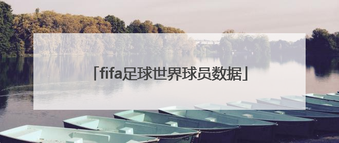「fifa足球世界球员数据」fifa足球世界球员数据重要吗