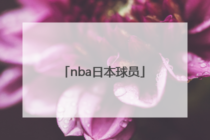 「nba日本球员」NBA日本球员